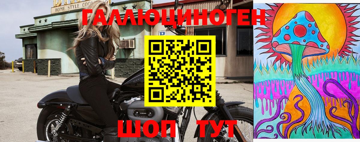 Псилоцибиновые грибы Psilocybe Людиново