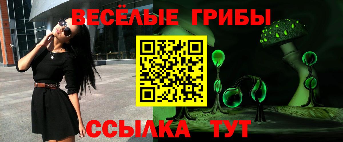 где купить   Вход с VPN  Людиново  Галлюциногенные грибы Psilocybe 